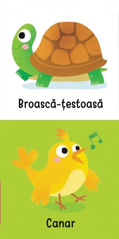 Mica mea carte zornaitoare si de dentitie. Animale de companie