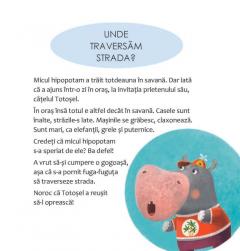 Atentie, strada! Vai, pericol necunoscut!