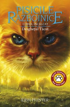 Dezghetul Tacut