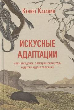 Искусные адаптации