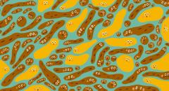 Таиная жизнь мочи и какашек