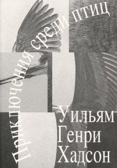 Приключения среди птиц