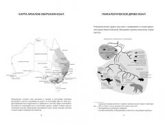 Хюгге от коал. Жизнь среди деревьев