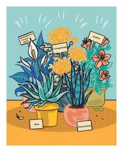 Salvarea planetei este posibila (chiar si de acasa!)