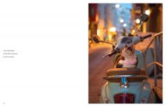 City Cats of Istanbul