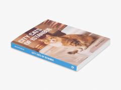 City Cats of Istanbul