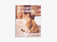 City Cats of Istanbul