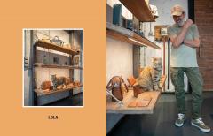 City Cats of Istanbul