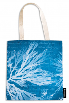 Sacosa - Sea Flowers