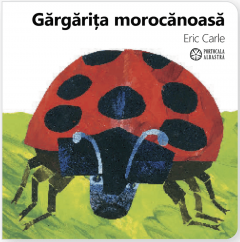 Gargarita morocanoasa