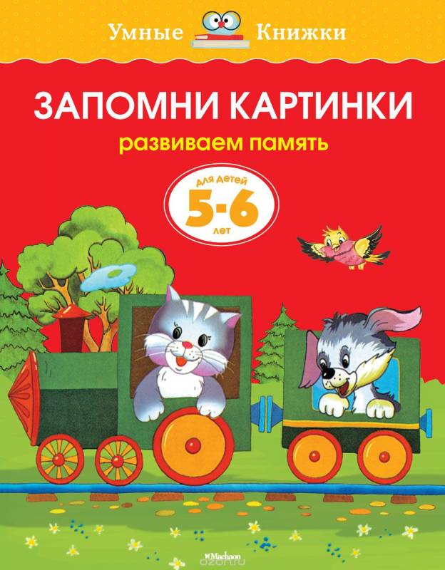 Запомни картинки (5-6 лет) (нов.обл.), Земцова О.Н.