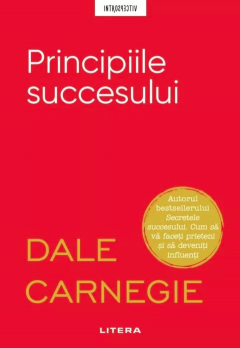 Principiile succesului