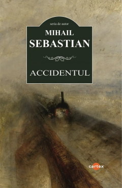 Accidentul
