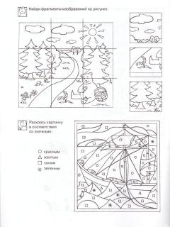 6-7 лет. Развиваем внимание. Рабочая тетрадь