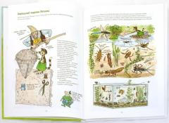 Поделки Финдуса