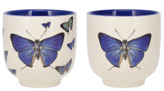 Set 2 pahare - Encyclopedia Papillons Bleu