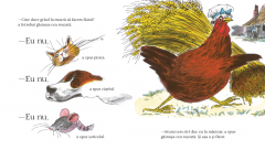 Gainusa cea roscata