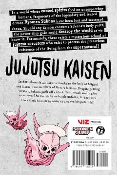 Jujutsu Kaisen - Volume 29