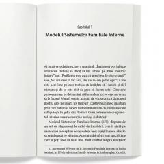 Introducere in Sistemele Familiale Interne