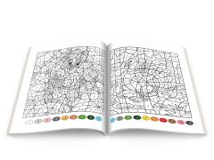 NumeroColor - Initiat