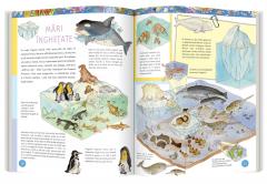 Prima mea carte despre mari si oceane