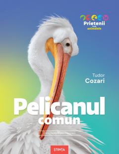 Prietenii mei animalele. Pelicanul comun