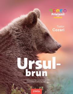 Prietenii mei animalele. Ursul brun