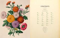 The Complete Language of Flowers