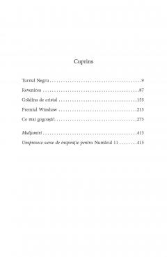 Numarul 11 sau Marturii despre nebunie