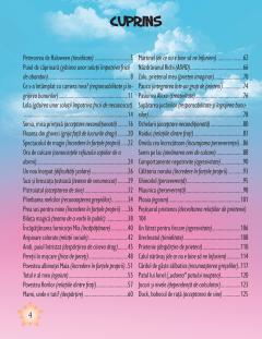 Povesti pentru inima si suflet