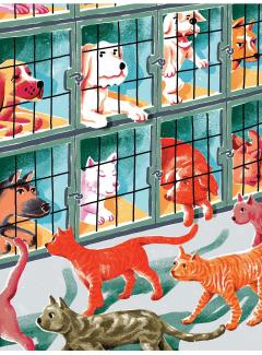 Catei bogati, catei saraci