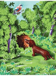 Catei bogati, catei saraci