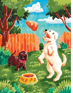 Catei bogati, catei saraci