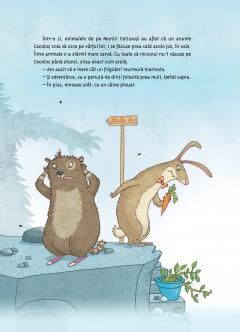 Cocolos, spaima muntilor