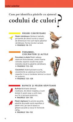 Ce pasare este aceasta?