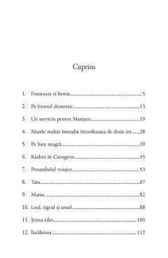 Liccle Bit, baiatul din Crongton