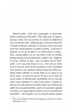 Din pantecul balenei