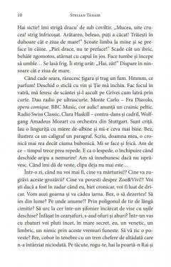 Marele incendiator. Cronica unui fapt divers