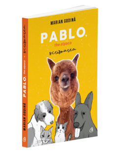 Pablo, the alpaca. Scrisoarea