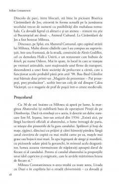 Mihnea Constantinescu, omul care a schimbat Romania fara ca noi sa stim