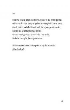 Inauntrul meu un cer gol