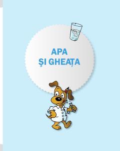 Experimente pentru copii