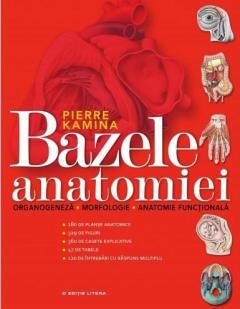 Bazele anatomiei