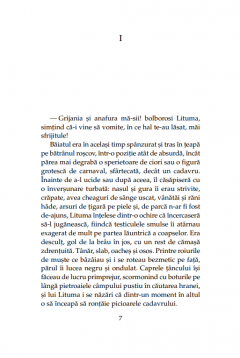 Cine l-a ucis pe Palomino Molero?