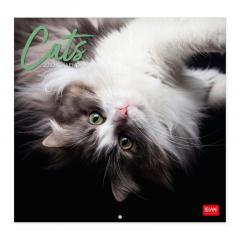 Calendar de perete 2023 - Cats, 30x29 cm