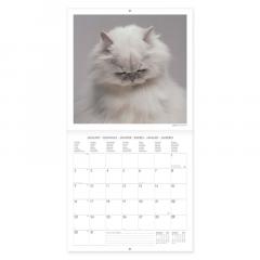 Calendar de perete 2023 - Cats, 30x29 cm