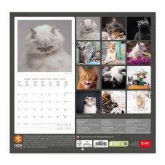 Calendar de perete 2023 - Cats, 30x29 cm