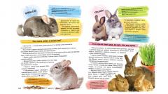 Большая энциклопедия для девочек