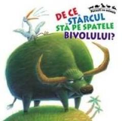 De Ce Starcul Sta Pe Spatele Bivolului?