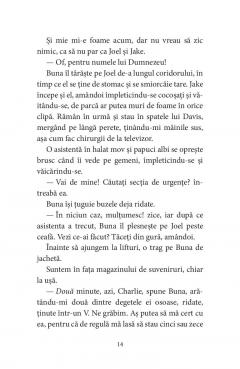 Pasarile dintr-o buna zi